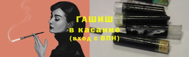 прущие грибы Верхний Тагил